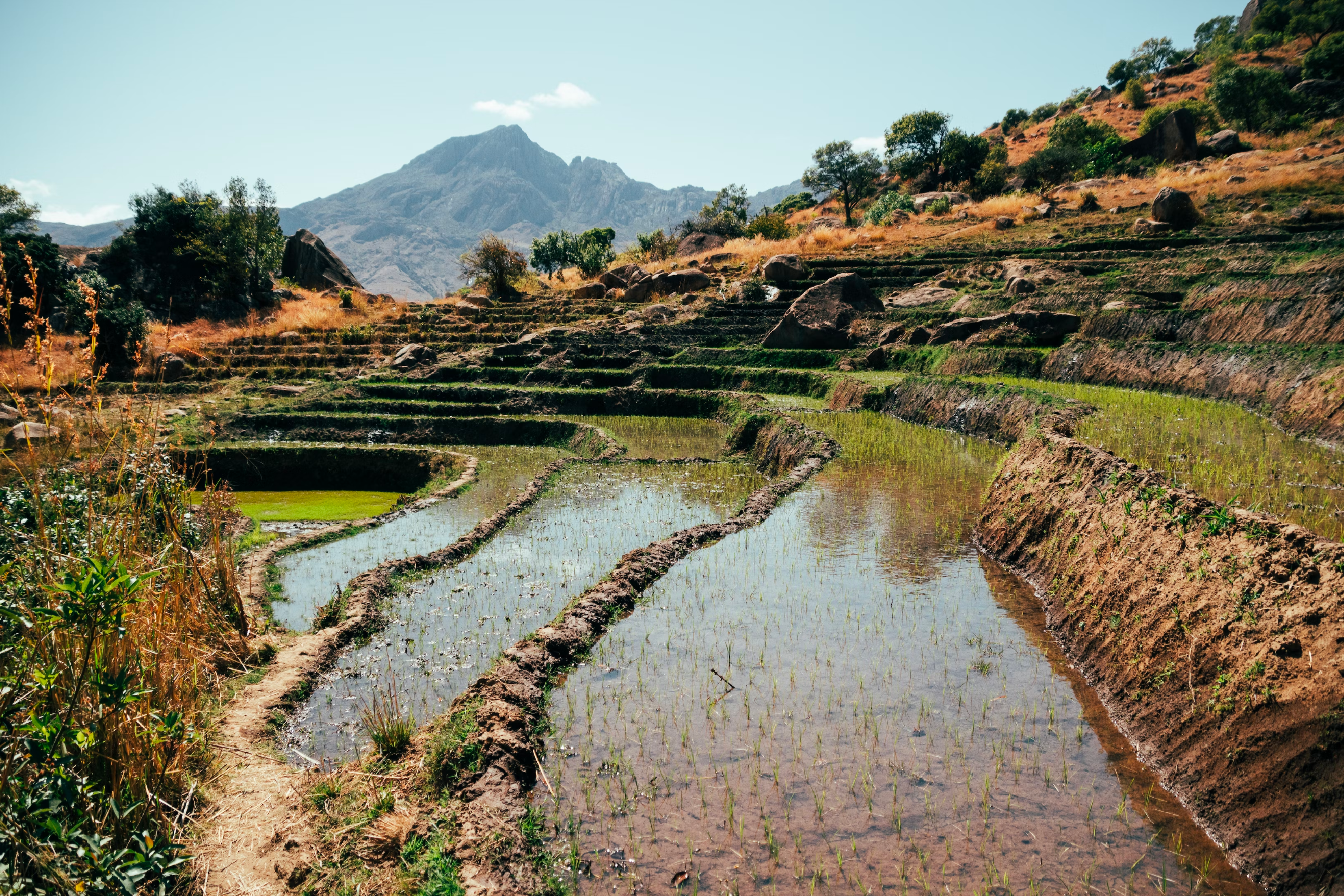 Water ways on the side of a valley